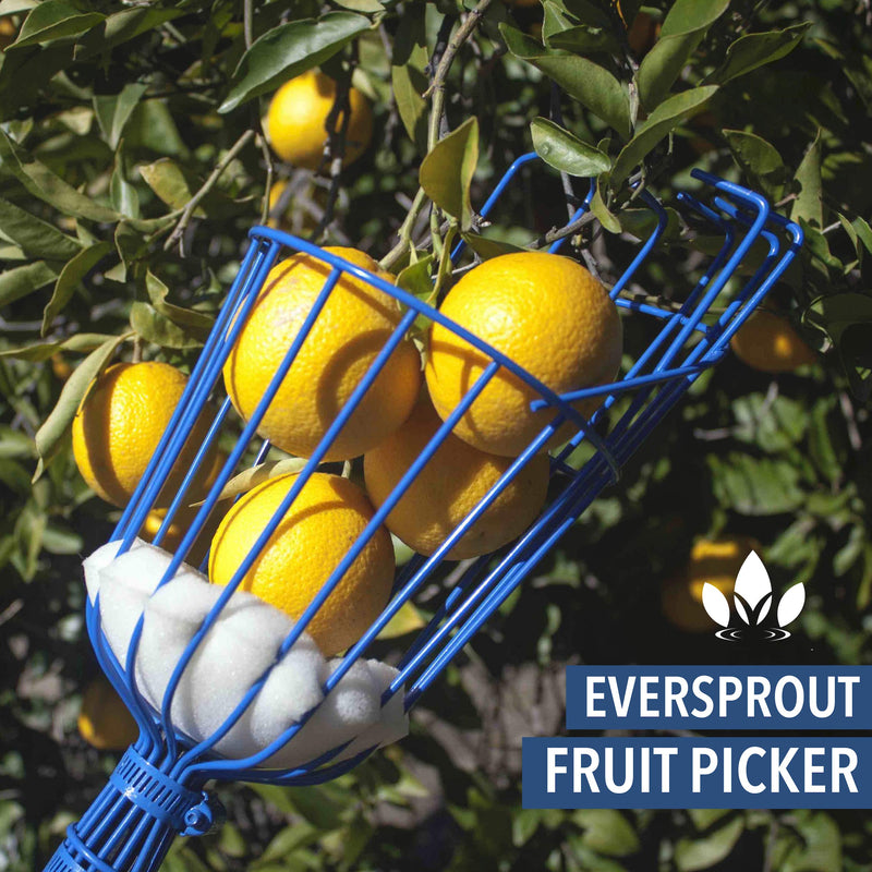 EVERSPROUT Twist-On Fruit Picker Basket | Twists onto Standard US Threaded Pole (3/4-inch ACME) | Fruit Harvester Attachment (Head Only, Pole Not Included) - NewNest Australia