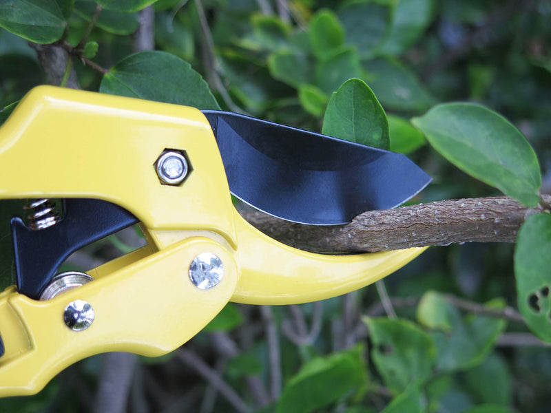 Mesoga 8 Inch Professional Pruning Shears, SK-5 Steel Blade Bypass Pruner Scissors, Pulley Garden Clippers, Tree Trimmers, Secateurs, Hand Anvil Loppers - NewNest Australia