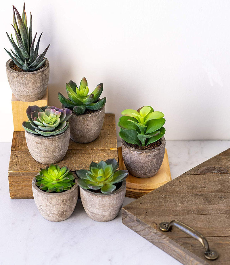 NewNest Australia - 6 Pots Small Artificial Succulent Plants Mini Fake Faux Suculentas Pot For Shelf Kitchen Counter Office Decor Tiny Miniature Desk Plant Succulents Decoration Accessories Potted Plastic Cactus Aloe Green Succulents Without Box 