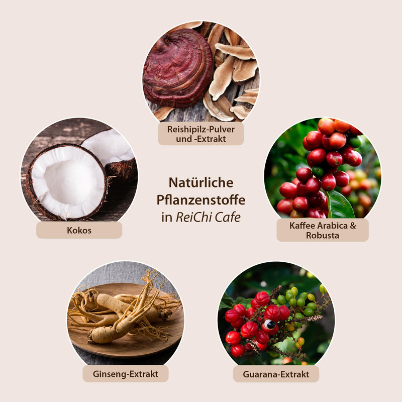 ReiChi Cafe I 400 g, 80 cups I exotic coffee enjoyment I reishi mushroom, ginseng & coconut I caffeine from guarana and coffee I magnesium + B12 I nerves, less fatigue¹ I vegan, without additives 400 g (pack of 1) - NewNest Australia