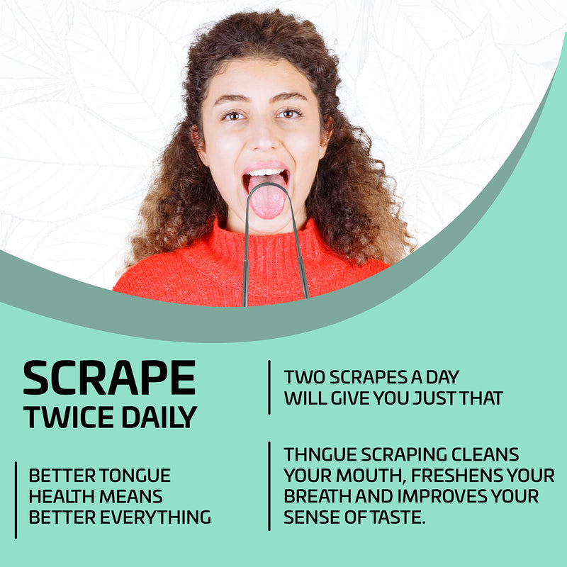 [2 pack] KN FLAX Tongue Scraper [Medical Grade] Reduce Bad Breath Maintains Oral Care 100% BPA Free Metal Tongue Scraper, Tongue Cleaner for Adults and Kids, Easy to Use with Non-Synthetic Handle 2 Count (Pack of 1) - NewNest Australia