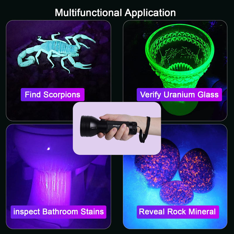 Escolite UV Flashlight Black Light, 51 LED 395 nM Ultraviolet Blacklight Detector for Dog Urine, Pet Stains and Bed Bug 1 Count (Pack of 1) - NewNest Australia