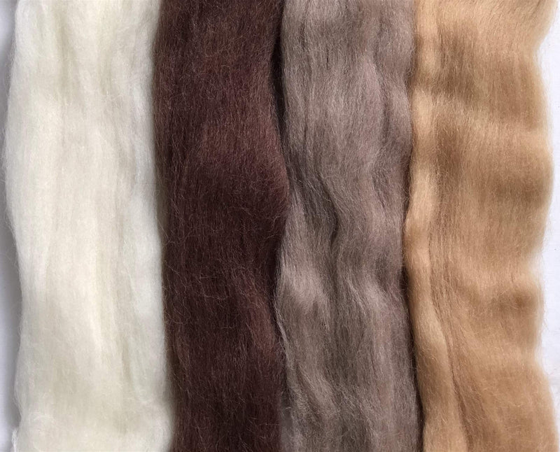 T.F GHG Needle Felting Wool Roving 8 Colors Set,15G/Color Total 120G/4.23OZ, 100% Natural Wool for Felting Yarn Craft Supplies, Needlecrafts for Starter Beginner (Earth) Earth - NewNest Australia