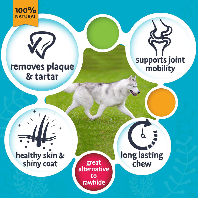 SKIPPER'S Wolf Fish Skin Flatties - Air Dried Grain Free Dog Treats, Healthy & Long Lasting Natural Dog Dental Chews, High in Protein with Essential Omega 3 & 6 Oils | Great for Teeth Regular (250g) 250 g (Pack of 1) - NewNest Australia