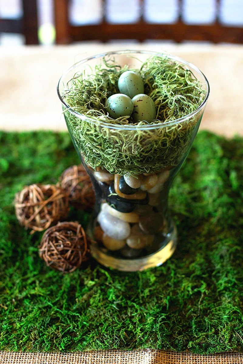 BYHER Roll of Green Moss for Fairy Gardens Wedding Other Arts and Crafts (10x120cm (4" W x 48" L)) 10x120cm (4" W x 48" L) - NewNest Australia