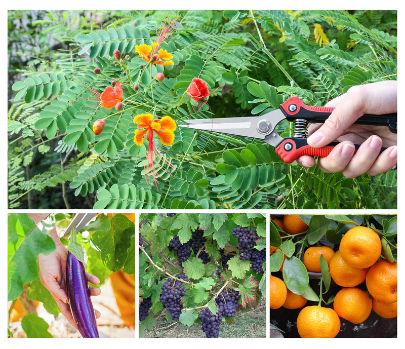 Housolution Pruning Shears, Heavy Duty Stainless Steel Ultra Sharp Multi-Purpose Hand Pruner Scissors for Garden Harvesting Fruits Vegetables, Trimming Pklants Flowers, Black & Red - NewNest Australia