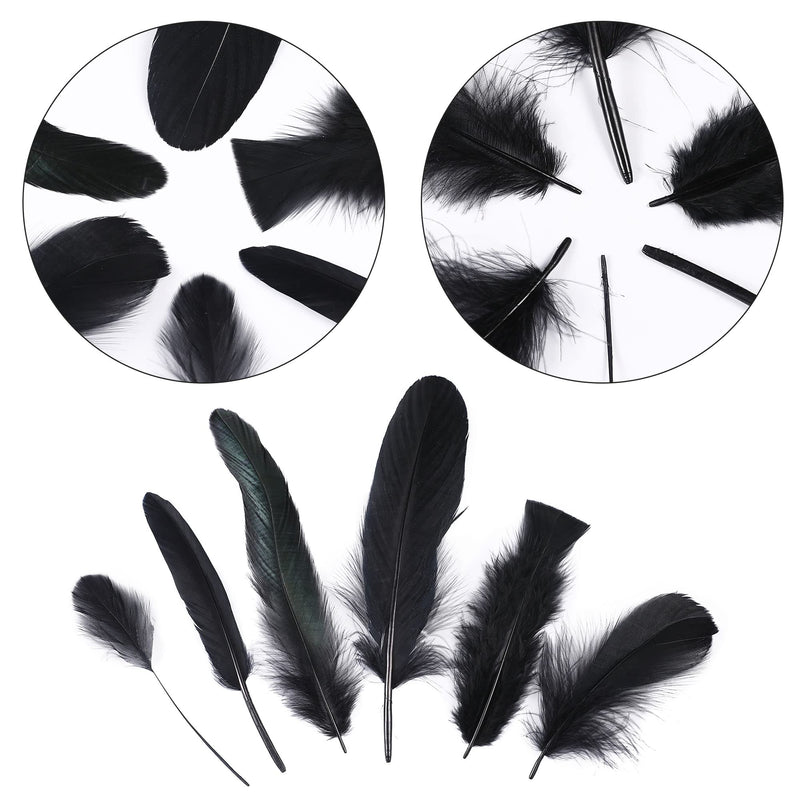 Larryhot Black Craft Feathers Bulk - 240pcs 6 Style Mixed Natural Feathers for Wedding Home Party, Dream Catcher Supplies and DIY Crafts (Black) - NewNest Australia