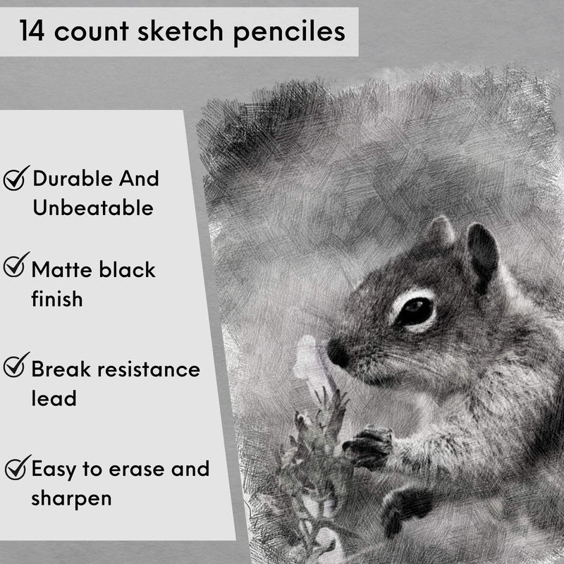 Mr. Pen- Sketch Pencils for Drawing, 14 Pack, Drawing Pencils, Art Pencils, Graphite Pencils, Graphite Pencils for Drawing, Art Pencils for Drawing and Shading, Shading Pencils for Sketching - NewNest Australia