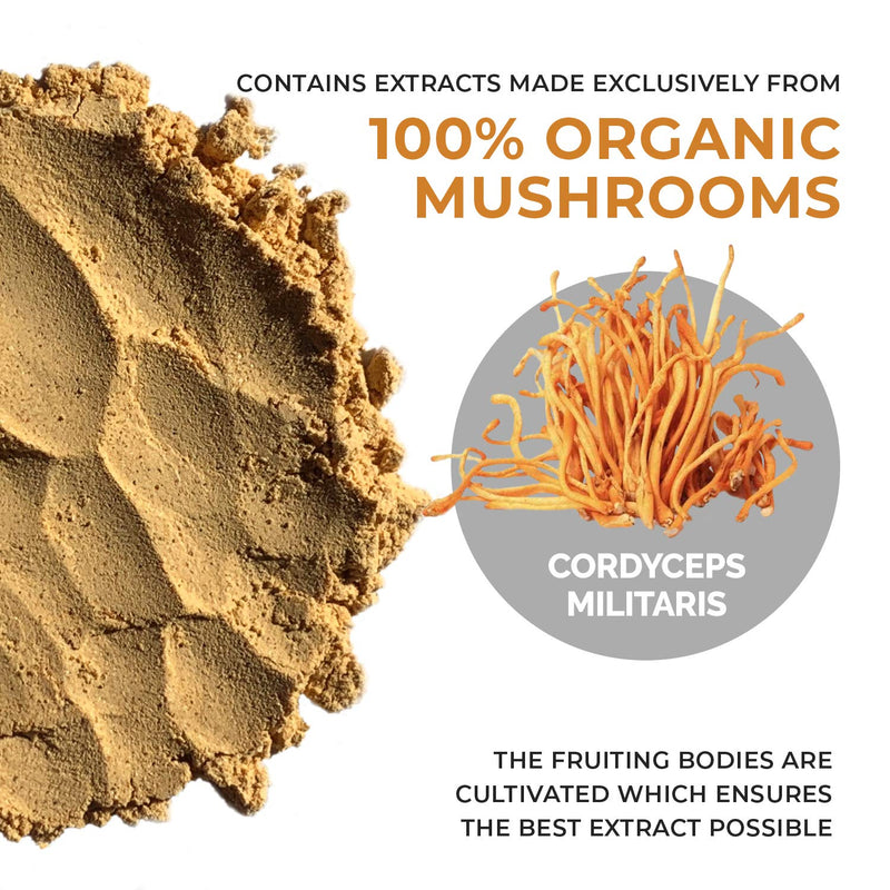 Real Mushrooms Cordyceps Peak Performance Supplement for Energy, Stamina & Endurance | Non-GMO, Vegan, Organic Cordyceps Powder| 60 Servings - NewNest Australia