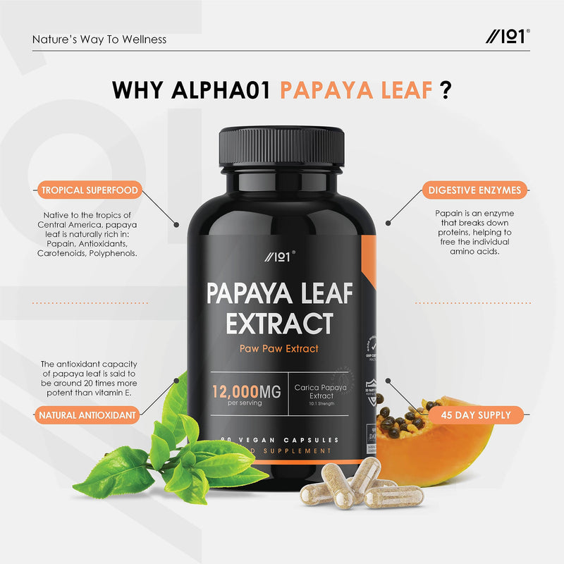 Papaya Leaf Extract Capsules 1200mg - Raw Carica Papaya Extract 10:1 - Non-GMO, Gluten Free, 90 Vegan Capsules - NewNest Australia