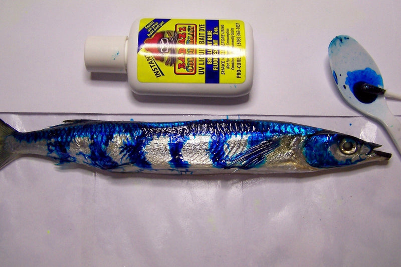 Pro-Cure Bad Azz Color Blast Liquid Bait Dye, 2-Ounce, Brilliant Blue Fluorescent - NewNest Australia