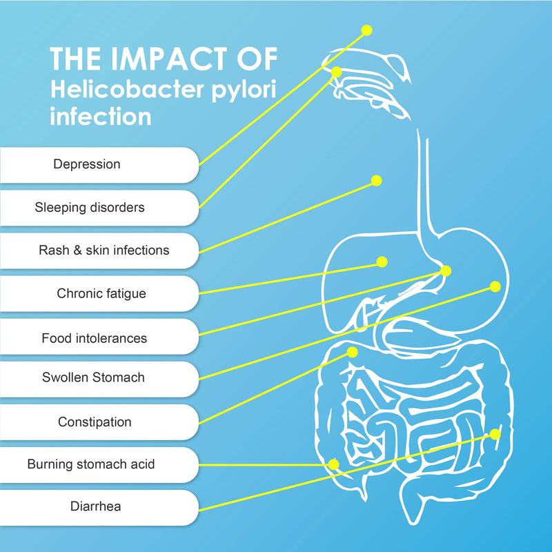 Accudoctor Helicobacter Pylori Test - Antigen Detection Self Test Quick Test Chair Test Kit Heliobacter Priori Check Autotest Home Test Self-Test Health Test - NewNest Australia