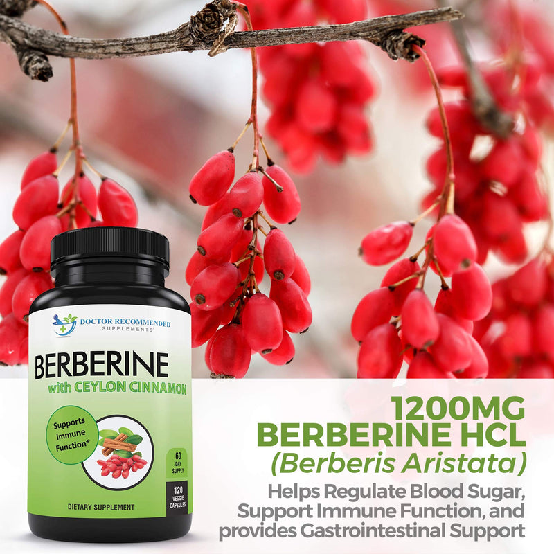 Berberine with Ceylon Cinnamon - 1200mg Berberine & 100mg Organic Ceylon Cinnamon - 120 Veggie Capsules, Healthy Immune System Cardiovascular Heart & Gastrointestinal Wellness 120 Count (Pack of 1) - NewNest Australia