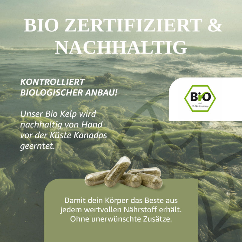 MAISON NATURELLE® IODINE from organic kelp (365 pieces) - 100% pure iodine capsules, extract from brown algae without additives - optimally dosed with 195 µg natural iodine per capsule - iodine tablets - NewNest Australia