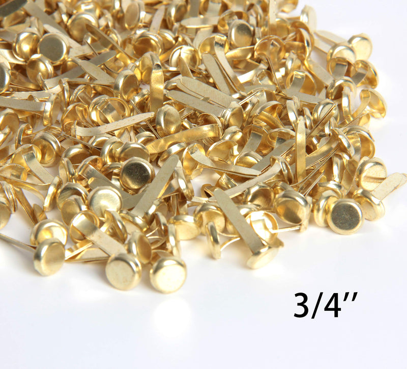 Hapy Shop Paper Fasteners,Medium 3/4-Inch Brass Plated Scrapbooking Brads Round Metal Brads for Crafts Making DIY,300 Pack - NewNest Australia