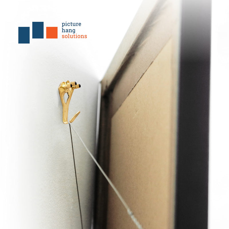 Heavy Duty Picture Hangers 100 lbs - 10 Pack - Plaster Wall Picture Hangers - OOK Picture Hanging Hooks - NewNest Australia