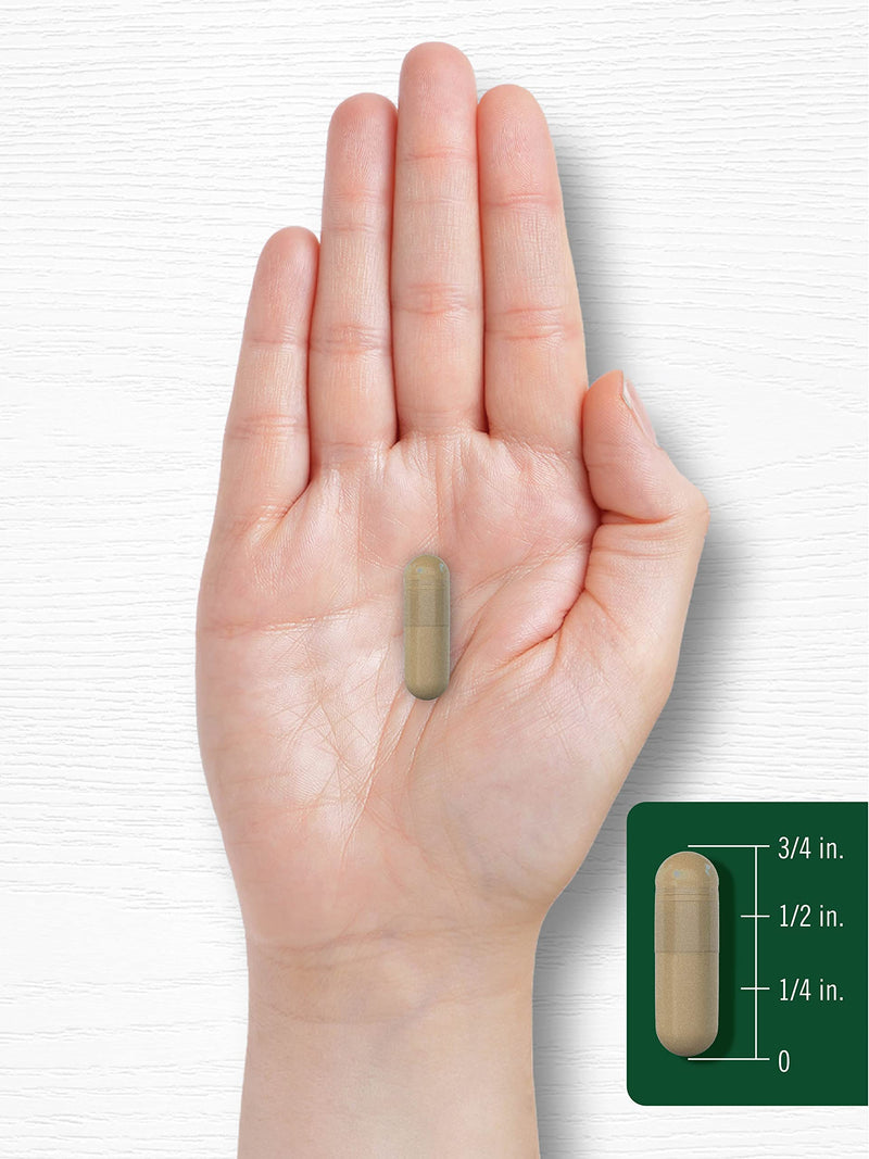 Cayenne Pepper Capsules 600mg | 350 Pills | Non-GMO, Gluten Free Supplement | by Carlyle - NewNest Australia