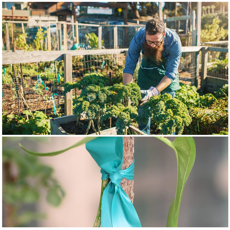 TELENT OUTDOORS Stretch Tie Tape, 1” Wide 200FT Reusable Garden Plant Ties Green Tapes for Plants, Thick Garden Vinyl Stake Ribbon for Branches Flowers Tomatoes Indoor Outdoor Greenhouse - NewNest Australia
