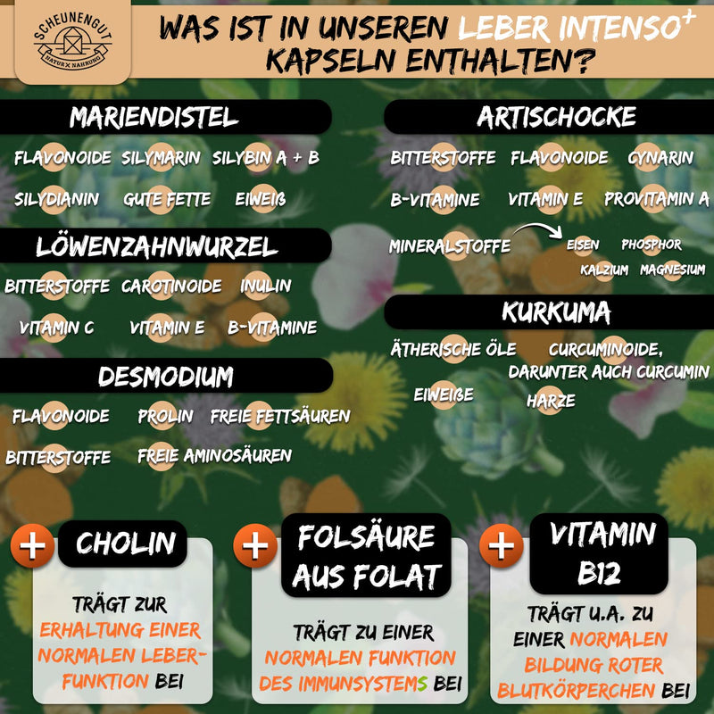 Liver Intenso+ Liver Capsules High Dose - Important: Laboratory Tested With Choline, Milk Thistle, Artichoke, Dandelion & Desmodium Plus 80% Silymarin And 5% Cynarin I 120 Capsules I From De I Scheunengut - NewNest Australia