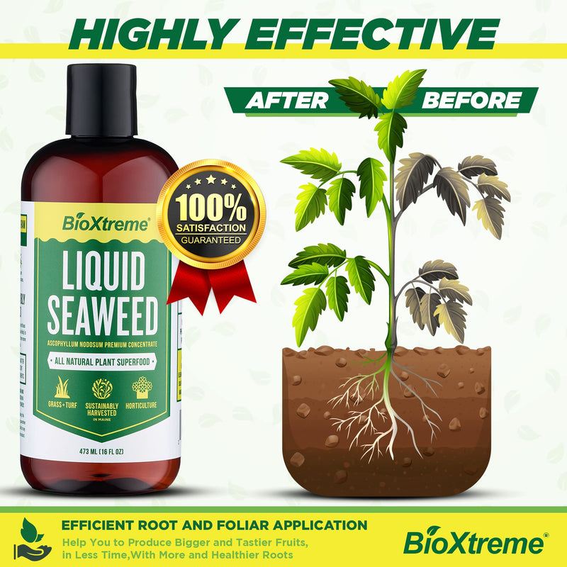 BIOXTREME Natural Liquid Seaweed Concentrate Helps to Increase Crop Yields, Plant Stress Resistance, Root Growth & Plant Development, Nutrient Uptake - 16 FL OZ - NewNest Australia