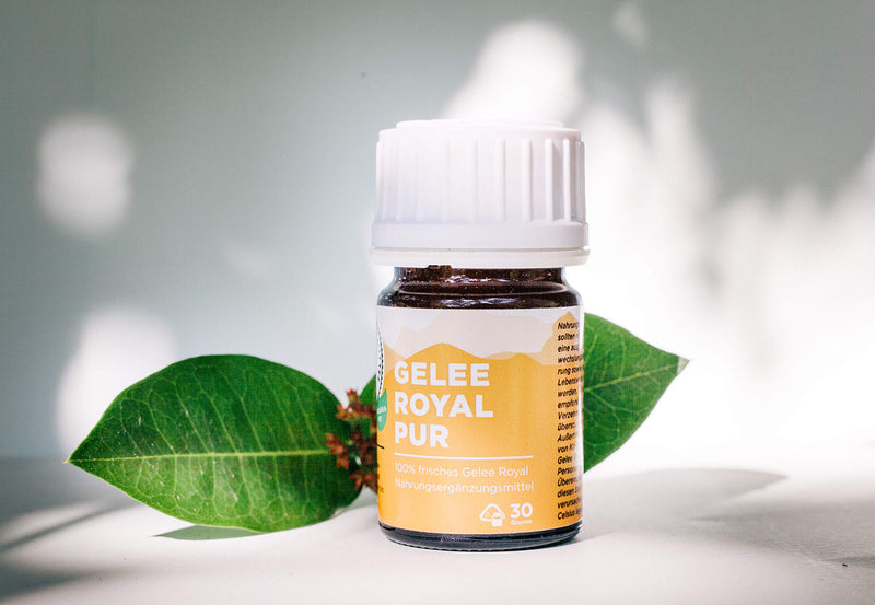 ACTIVE NATURAL REMEDY Royal Jelly Pure | 30g | High-quality royal jelly (bee milk) | Delivered chilled - NewNest Australia