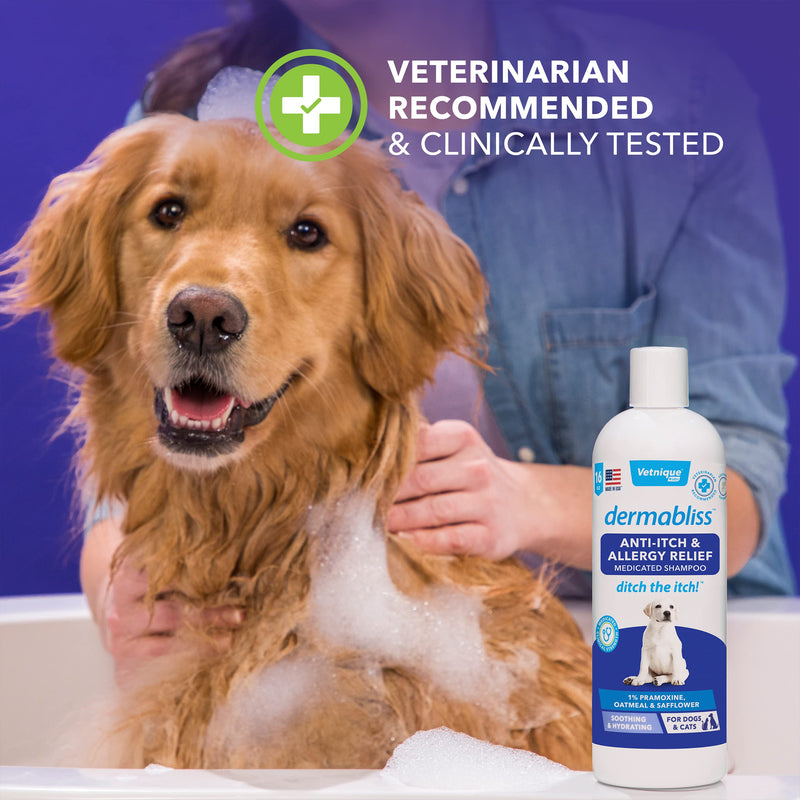 Vetnique Labs Dermabliss Anti Itch & Allergy Relief Medicated Dog Shampoo for Allergies and Itching with 1% Pramoxine HCL, Safflower Seed Oil, and Oat Extract for Dogs and Cats 16oz … - NewNest Australia