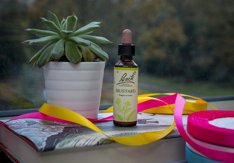 Bach Original Flower Remedy Mustard, Flower Essences, Vegan formula, Let me be me, An Individual and Personal Approach to Emotional Wellness, Easy to use, 1 Dropper Bottle x 20 ml - NewNest Australia