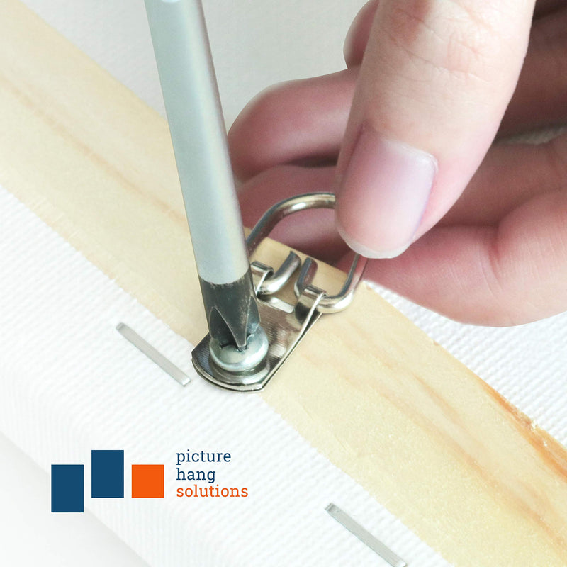 D Ring Picture Hangers with Screws - 100 Pack - Bulk D Rings - Pro Quality d-Rings - Picture Hang Solutions - NewNest Australia