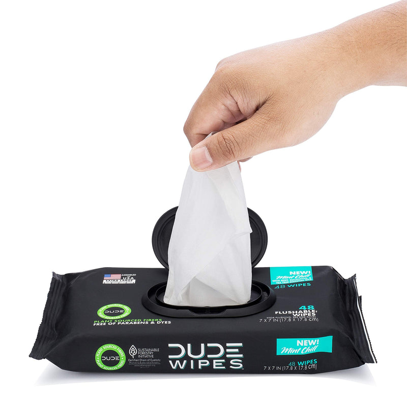 DUDE Wipes Flushable Wet Wipes Dispenser Mint Chill 48Count - Scented Wet Wipes with Vitamin-E Aloe Eucalyptus & Tea Tree Oils for at-Home Use Septic & Sewer Safe Pack of 1 - NewNest Australia