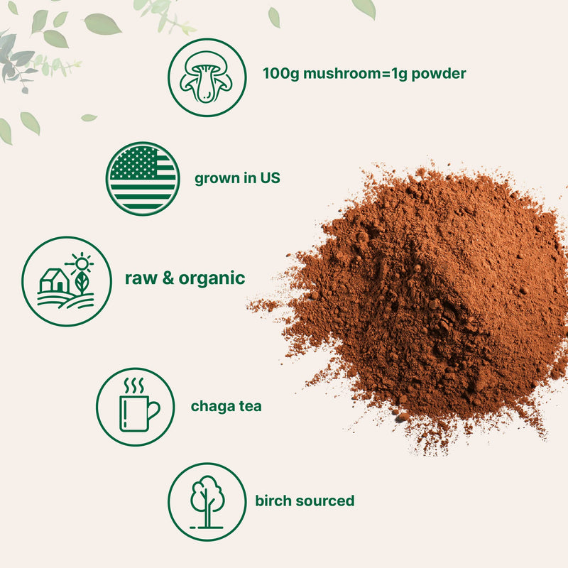 Sustainably Maine Grown, Wild Harvest Organic Chaga Mushroom Extract 100:1 Powder, Chaga Tea, 6 Ounce, Superfood for Beverage and Smoothie, Vegan Friendly 6 Ounce (Pack of 1) - NewNest Australia