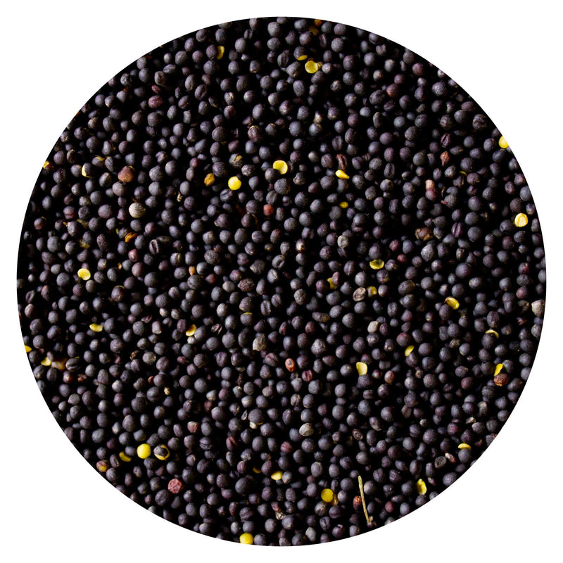 Rapeseed Cleaned 10 kg Rapeseed Therapy Rapeseed for Rapeseed Cushion Heat Cushion Cold Cushion Seeds Loose Rheumatism Microwave Wellness Rapeseed Bath Petigi - NewNest Australia