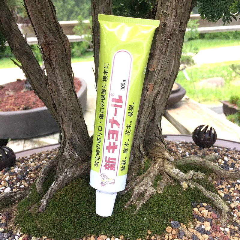 Kiyonal New Bonsai Pruning Cutting Paste 100g - NewNest Australia