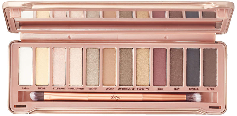 Lilyz Miss-TY Diamond Edition 12 Colour Eyeshadow Palette with Double Ended Flawless Brush - NewNest Australia