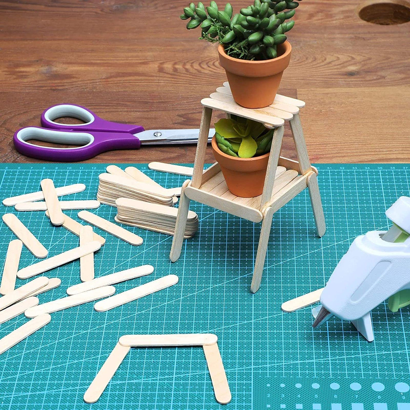 Wood Popsicle Sticks