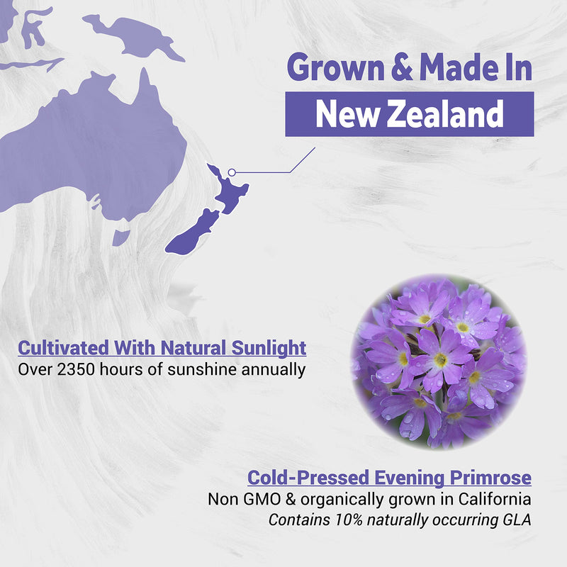 Naturalis Evening Primrose Oil (1300mg) | 100% Natural from New Zealand | Non-GMO, Soy & Gluten Free, Zero Filler | 60 Softgels 60 Count (Pack of 1) - NewNest Australia