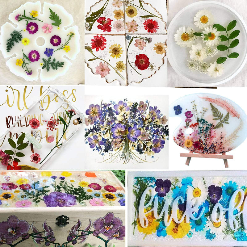 BIHRTC 100PCS Dried Pressed Leaf Flowers Natural Pressed Died Leaves Sunflowers Chrysanthemum Daisy Flowers Multiple Dry Flower for Craft Resin Jewelry Making Soap and Candle Making DIY Blue Purple - NewNest Australia