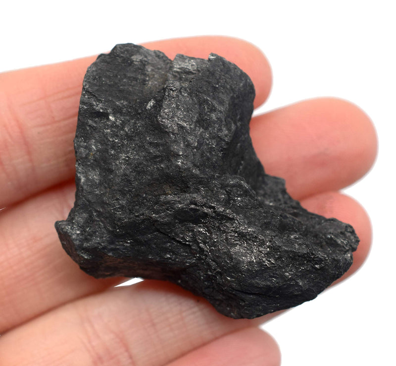 Raw Graphite, Pure Carbon Specimen - Approx. 1" - Geologist Selected & Hand Processed - Great for Science Classrooms - Eisco Labs - NewNest Australia