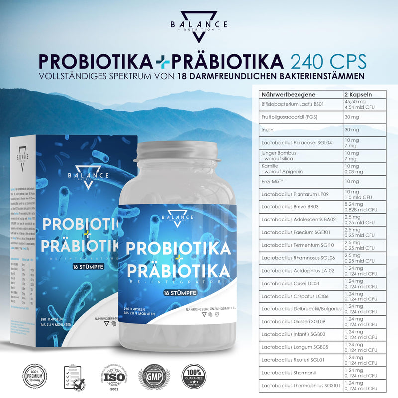 PROBIOTICS AND PREBIOTICS - 240 CAPSULES | Probiotics intestinal cleansing | Probiotics capsules | Prebiotics, Digestive Enzymes + Inulin | Intestinal flora structure | Up to 20 billion CFU - NewNest Australia