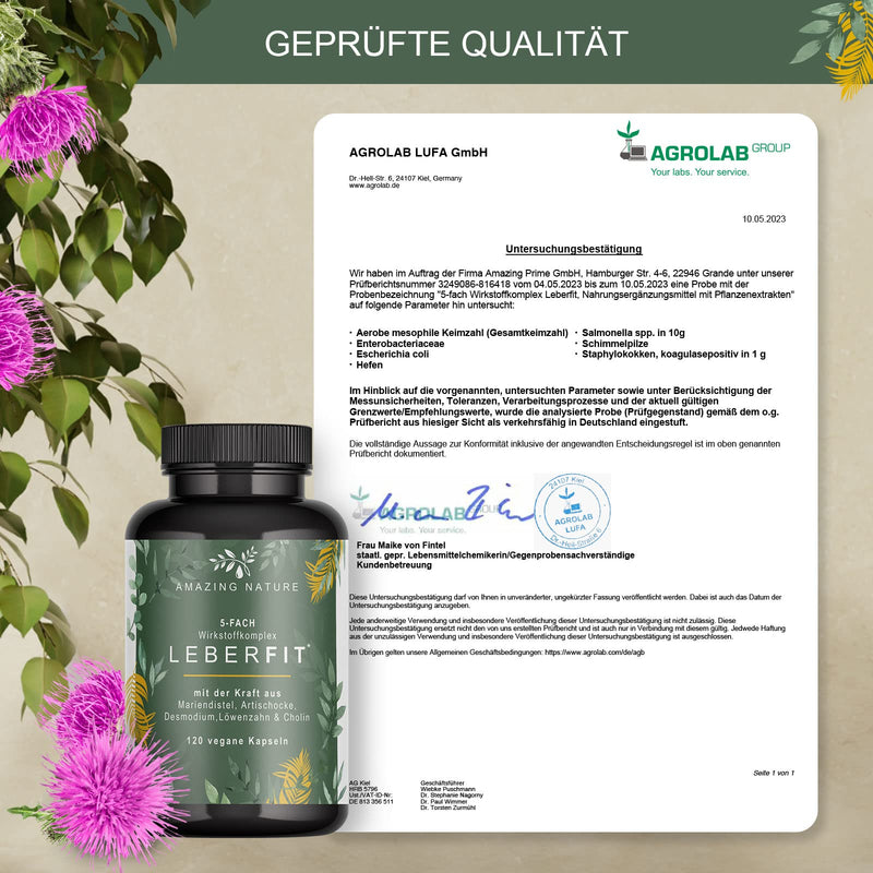 Leberfit High Dose 5-Way Complex Of Milk Thistle 80% Silymarin, Artichoke 5 Mg Cynarine, Dandelion, Desmodium Stem Extract, Choline (Choline Bitartrate) 1 X 120 Vegan Capsules Laboratory Tested In - NewNest Australia