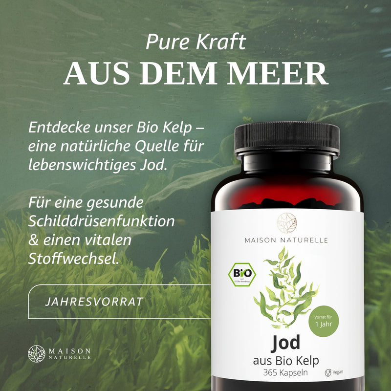 MAISON NATURELLE® IODINE from organic kelp (365 pieces) - 100% pure iodine capsules, extract from brown algae without additives - optimally dosed with 195 µg natural iodine per capsule - iodine tablets - NewNest Australia