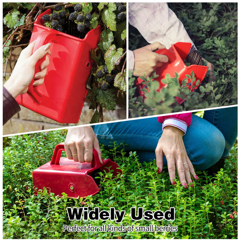 LFSEMINI Berry Picker, Berry Pickers and Rakes with Metallic Comb and Ergonomic Handle for Easier Berry Picking, Blueberry Rake Scoop for Blueberries, Lingonberries and Huckleberries (Red) - NewNest Australia