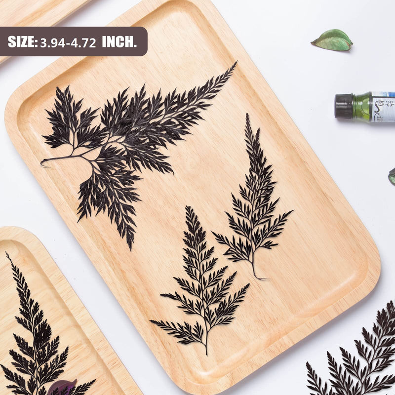 ALJ 42 PCS Pressed Ferns Leaves, Natural Purple Dried Ferns Leaves Plant Pressed Leaf for Resin Art DIY Craft Embellishment Decors, Craft Jewelry Card and Making DIY Scrapbooking - NewNest Australia
