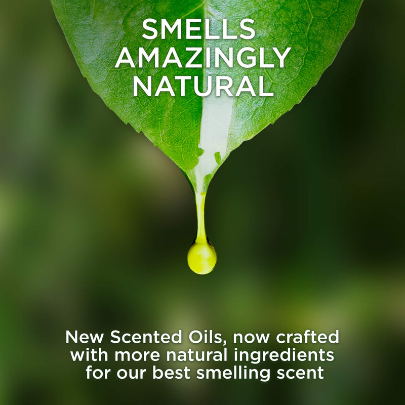 Air Wick Plug in Scented Oil Refill Freshener Essential Oils, Lush Honeysuckle & Raspberry, Lush Honeysuckle and Raspberry, 5 Count - NewNest Australia