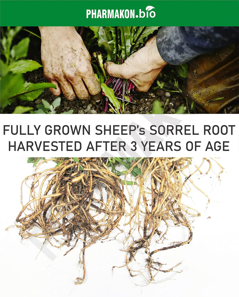 Sheep Sorrel Root Extract, Very Potent, Contains Root Only, Made in Germany - NewNest Australia