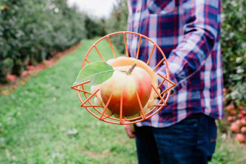 Teal Turtle Professional Apple Fruit Picker Basket With Cushion to Prevent Bruising - NewNest Australia