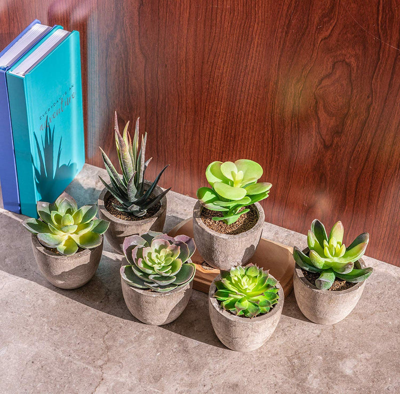 NewNest Australia - 6 Pots Small Artificial Succulent Plants Mini Fake Faux Suculentas Pot For Shelf Kitchen Counter Office Decor Tiny Miniature Desk Plant Succulents Decoration Accessories Potted Plastic Cactus Aloe Green Succulents Without Box 