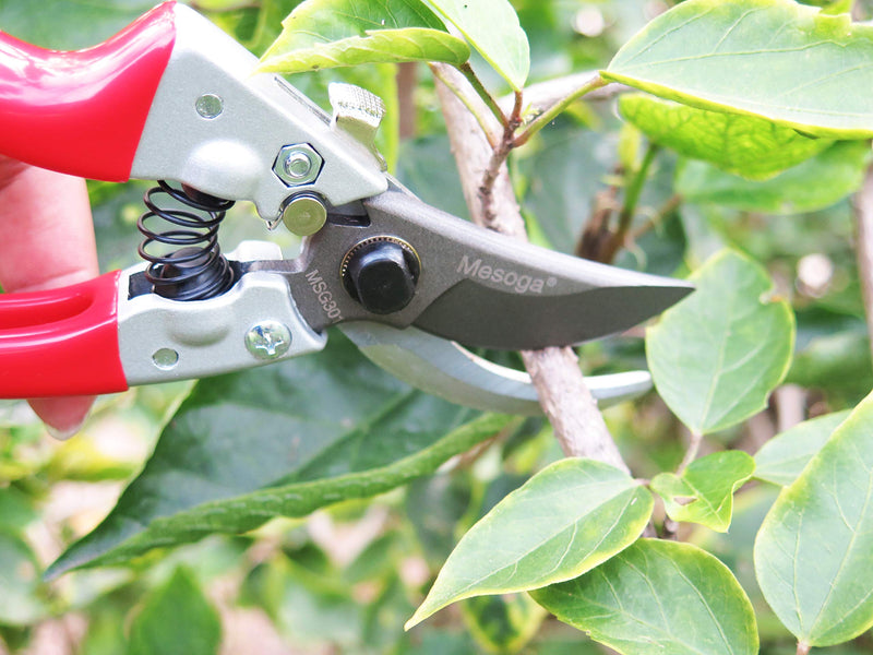 Mesoga Pruning Shears 8 Inch, Hand Pruners SK-5 Steel Blade, Garden Clippers Tools, Tree Trimmers, Bypass Branches Cutters Scissors - NewNest Australia