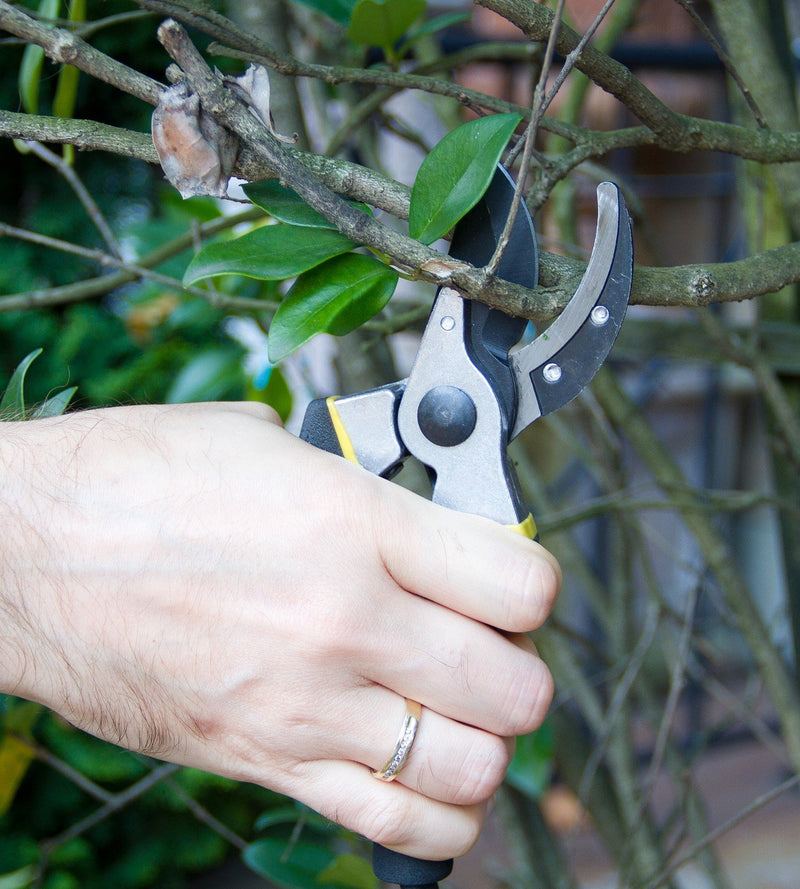 Astorn Bypass Pruning Shears for Garden Maintenance | Branch Clippers & Rose Pruning Shears | Hand Pruners with Ergonomic Handles, Shock-Absorbent Spring & Safety Lock | Gardening Scissors Set - NewNest Australia