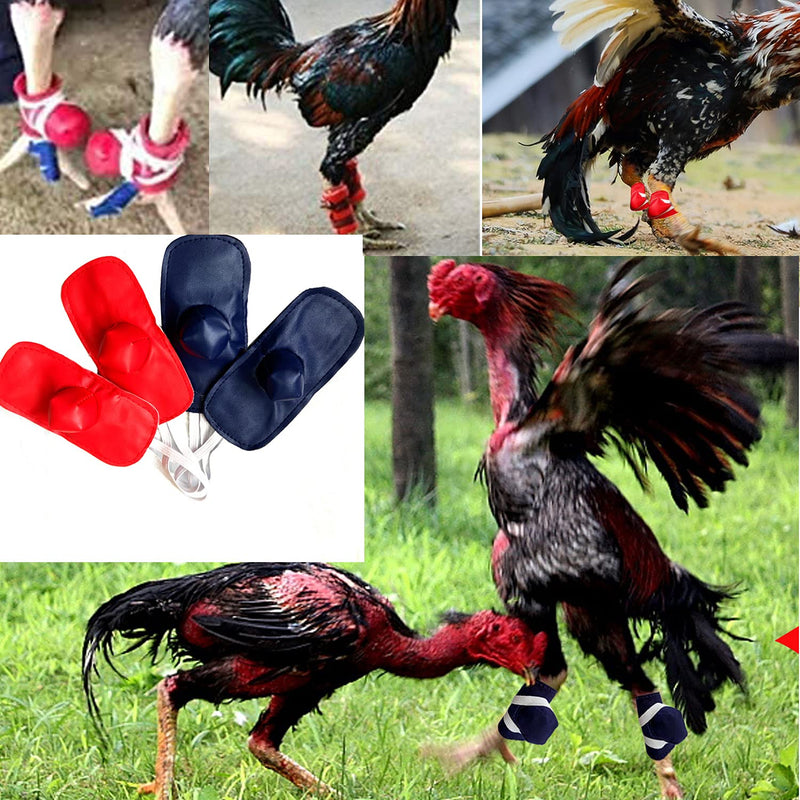 Gamefowl Rooster Supplies Gallos De Pelea Accessories Chicken Supplies Poultry Care Supplies Leg Protect 2 Pairs Color Blue and Red - NewNest Australia