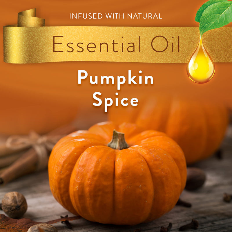 Air Wick Plug in Scented Oil 5 Refills, Pumpkin Spice, Fall Scent, Fall Spray, (5x0.67oz), Essential Oils, Air Freshener, Packaging May Vary, Pumpkin Spice - NewNest Australia